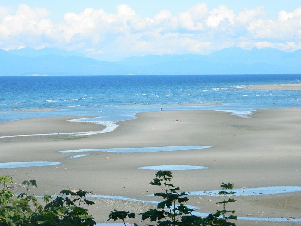 The Tide'S Inn Parksville Dış mekan fotoğraf